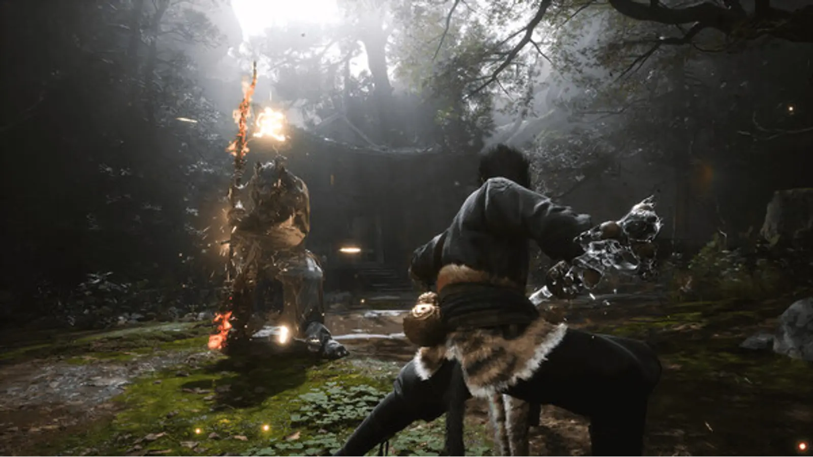 screenshot of:Black Myth Wukong